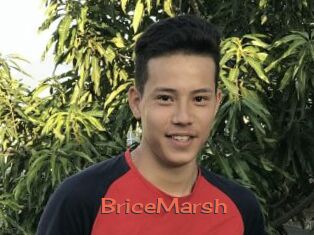 BriceMarsh