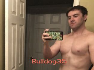 Bulldog35