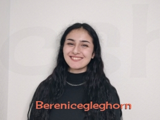 Berenicegleghorn