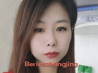 Bericezhangjing