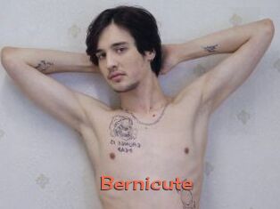 Bernicute