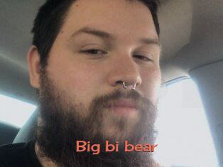 Big_bi_bear