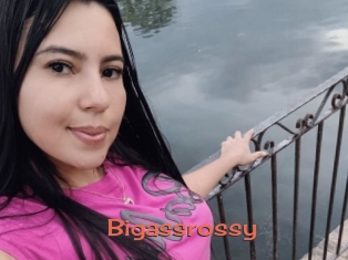 Bigassrossy