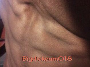 Bigdickcum018