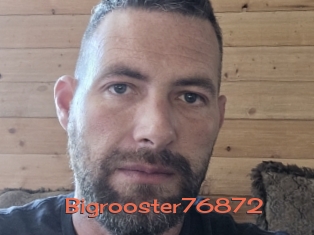 Bigrooster76872