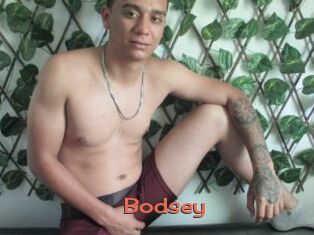 Bodsey