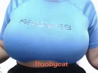 Boobycat
