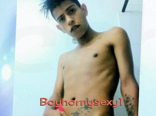 Boyhornysexy1
