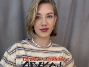 Breechambless