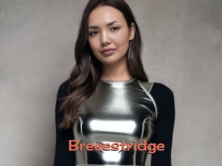 Breeestridge