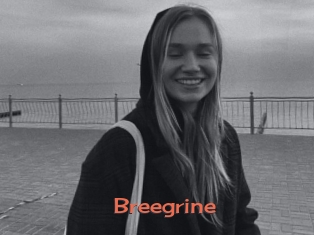 Breegrine