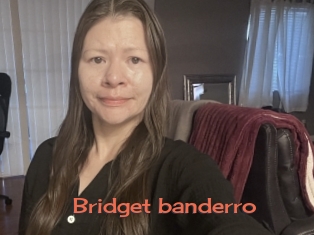 Bridget_banderro