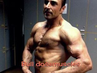 Bull_dosemuscles