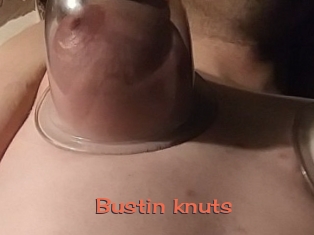 Bustin_knuts