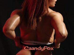 CaandyFox