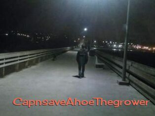 Capn_save_A_hoe_The_grower