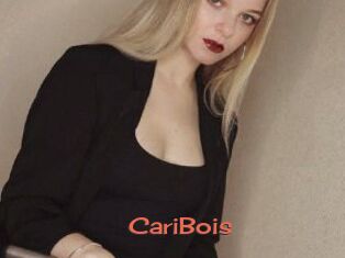 CariBois