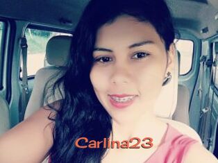 Carlina23