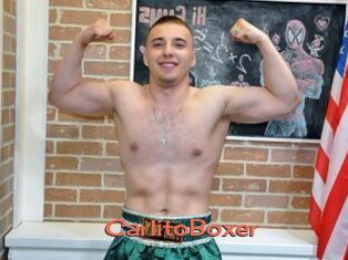 CarlitoBoxer