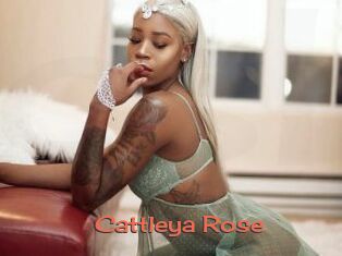 Cattleya_Rose