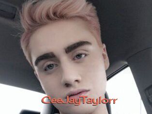 CeeJayTaylorr