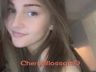 CherryBlossom0