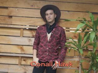 Conall_Hawk