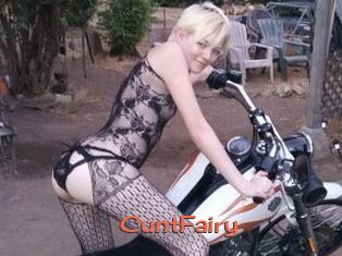 CuntFairy
