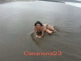 Canariona23
