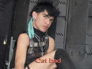 Cat_bad
