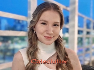 Cateclutter