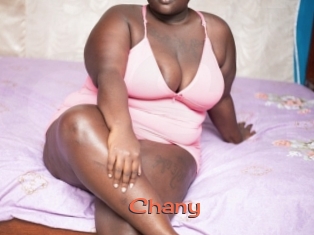 Chany