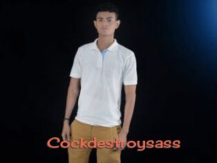 Cockdestroysass
