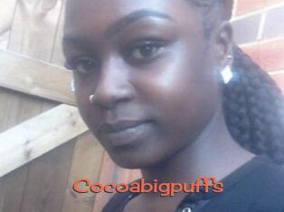 Cocoabigpuffs