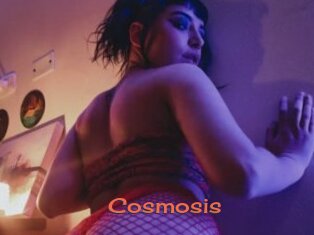 Cosmosis