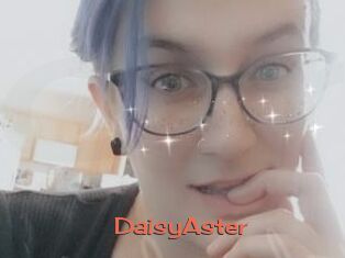 DaisyAster