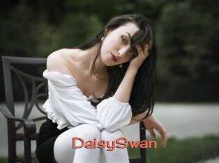 DaisySwan