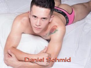 Daniel_Schmid