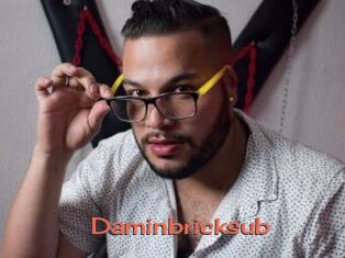 Daminbricksub