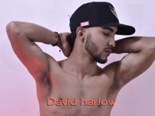David_harlow