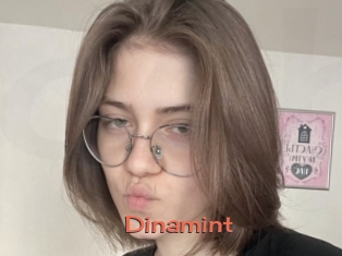 Dinamint