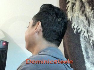 Dominicsteele