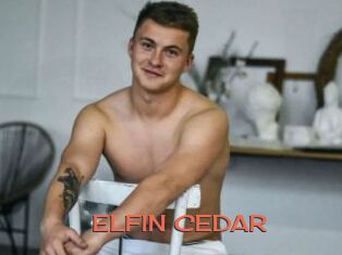 ELFIN_CEDAR