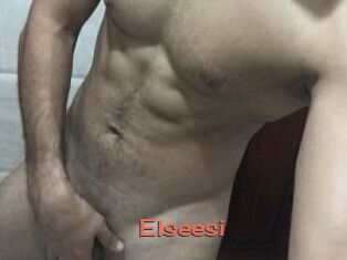Elseesi