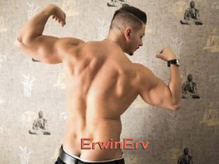 ErwinErv