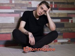 Eitonmouse