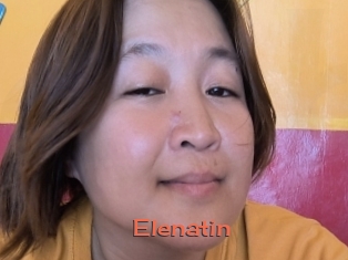 Elenatin