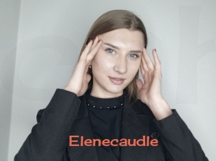 Elenecaudle