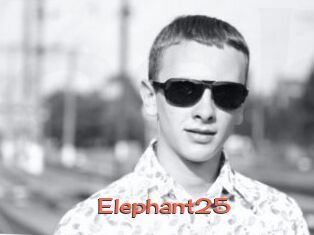 Elephant25