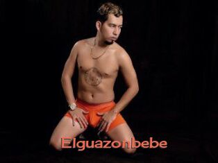 Elguazonbebe